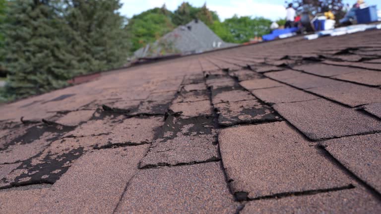  Slaton, TX Roofing Service Pros