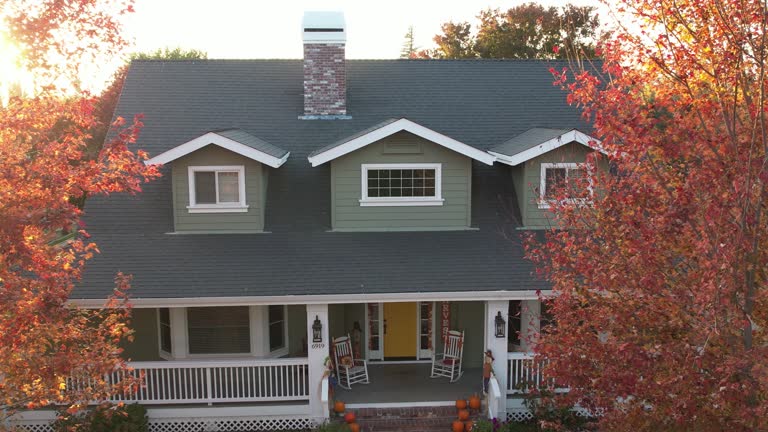 Best Roof Moss and Algae Removal  in Slaton, TX