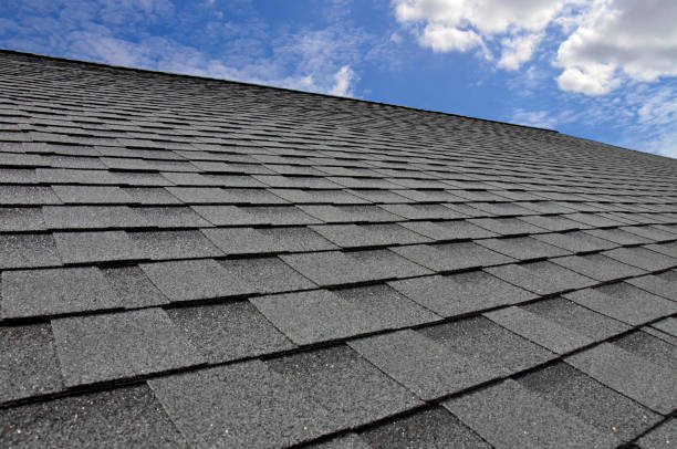 Best Roof Moss and Algae Removal  in Slaton, TX